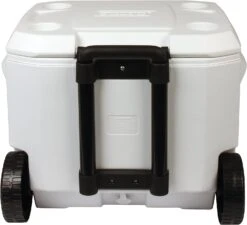 Coleman Marine 50Qt 47L White Cooler 3000005137 -Campingandleisure Shop 81mlgaayvgl. ac sl1500